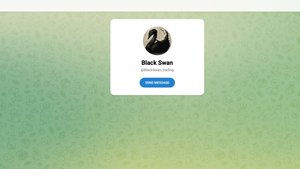 Черный Лебедь (Black Swan) - отзывы о нашумевшем телеграм канале