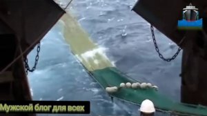 МУЖСКОЙ БЛОГ ДЛЯ ВСЕХ  РАБОТА МАТРОСОМ В МОРЕ СМОТРЕТЬ БЕСПЛАТНО ВСЕМ