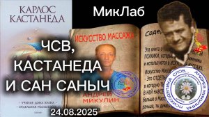 ЧСВ, Кастанеда и Сан Саныч. Прямой Эфир с Андреем Микулиным. 24.08.2025. МикЛаб