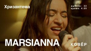 Marsianna - Хризантема