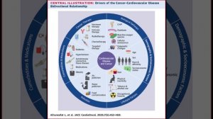 Статины значимо снижают риск развития рака пищевода и печени, гематологического рака и лейкемии