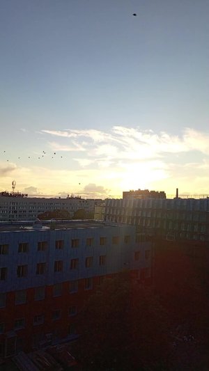 воздушные шары в небе. над Петербургом.