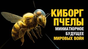 Насекомые киборги для разведок и войн