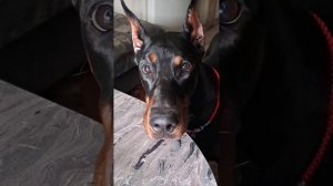 Ко мне обратилась подписчица  по имени Марина с просьбой написать песню. Отзыв в конце песни…