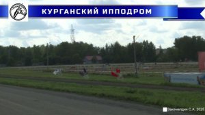 23.08.2025 - заезд 2: Приз "Крепыша", для лошадей орловской рысистой породы 4-х лет и более. 2400 м.