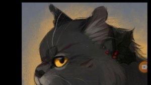 коты-воители