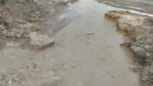 как у нас весной пропадала рыба.