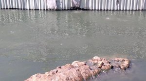 Избербаш. Дагестан. Сероводородный источник.