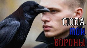 Сюда мои Вороны