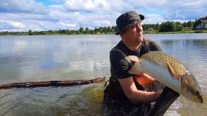 Поимка персонального рекордного амура весом 11,45 кг. на РБ Львово. Пойман на КС VSbaits.