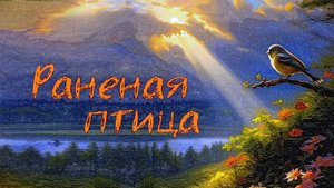 Раненая птица