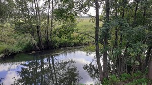 Поход на шашлыки, 2025