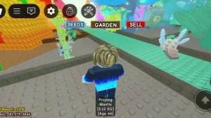 вырасти сад