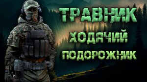 Травник  - ходячий подорожник! ● Калибр ● Обзор оперативника!