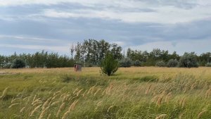 IMG_0623