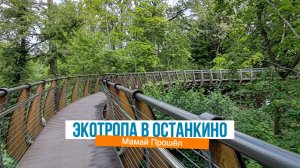 Экотропа в парке Останкино 2025
