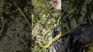 поисковый магнит 500 метров по реке.