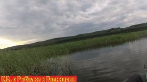 ДУМАЛ КРУПНАЯ ЩУКА ЗАВЕЛА В КАМЫШИ, А ТУТ ТАКОЕ ЧТО Я НЕ ПОВЕРИЛ ГЛАЗАМ.