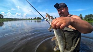 РЫБАЛКА В БОЛЬШУЮ ВОДУ. ДОЖДИ СДЕЛАЛИ СВОЕ ДЕЛО. ЧТО СМОГ ТО И ПОЙМАЛ. РЫБАЛКА ПО ГОРЛО.
