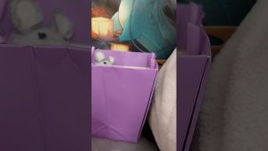 обустрой как уголка для басиков 😍