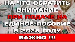 На что обратить внимание при подаче на Единое пособие в 2025 году Важно