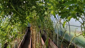 Санкт-Петербург // ВСЕ ЧТО ХОТЕЛА ИСПОЛНИЛОСЬ