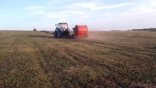 Трактор 🚜Беларус МТЗ-892 прессует сено в рулоны. 24 августа 2025 год