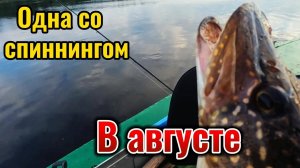 Поехала на лодке одна со спиннингом. Удачно отловилась после долгого затишья.