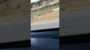 Вазврашаюсь дамой