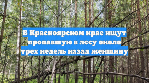 В Красноярском крае ищут пропавшую в лесу около трех недель назад женщину