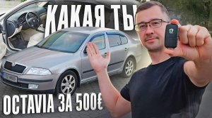 С Нуля До Porsche. КУПИЛ SKODA OKTAVIA за 500 ЕВРО. TDi, DSG, КОЖА, ПРОСТО ЖИР...
