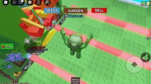 Война админов часть 1