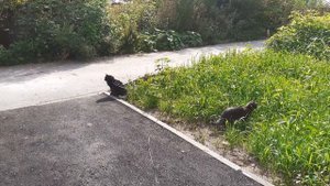 Возле дома.