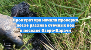 Прокуратура начала проверку после разлива сточных вод в поселке Озеро-Карачи