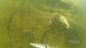 Рыбалка на витили, дедовский способ (АРХИВ 2017года)