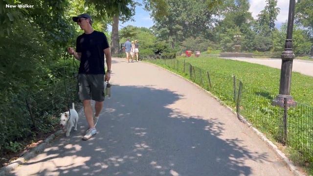 Шикарная Солнечная Летняя прогулка по улицам от Верхнего Вест-Сайда до Верхнего Ист-Сайда! смотреть онлайн