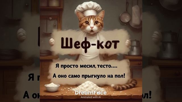 кот кондитер смотреть онлайн