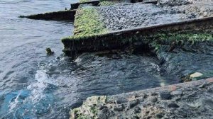 Релакс. Плеск волн