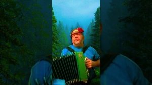 Трава у дома. Гармонь. Авторский кавер (гр. Земляне).mp4