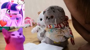 Сто дней с Басиками