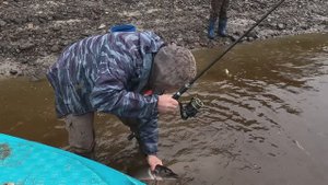 Дубасим рыб. Рыбалка семьёй на Оби ч.1