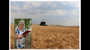 «Жемчужина России» – Татьяна Грищенко