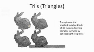 6 Useful Terminology