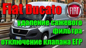 Fiat Ducato: удаление сажевого фильтра, отключение клапана ЕГР
