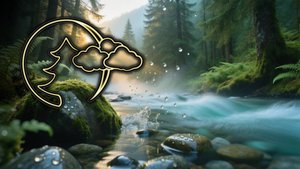 🌲ШУМ РЕКИ для Сна🌊Звуки Журчащей Воды, Лес, Природа, Глубокий Релакс, Медитация| Noise of River