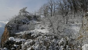 Савранская канатная дорога