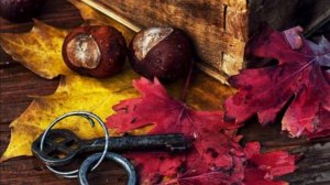 Пожелание доброго вечера бесплатно - Открытки добрый вечер и спокойной ночи