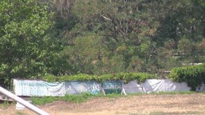 24.08.2025г Скачка № 3