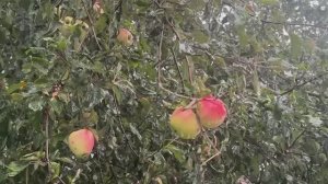 ❤️У природы нет плохой погоды,Всякая погода БЛАГОДАТЬ!🙏