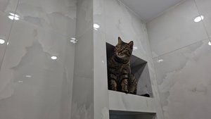 Ремонт закончен, но мелочи остались.